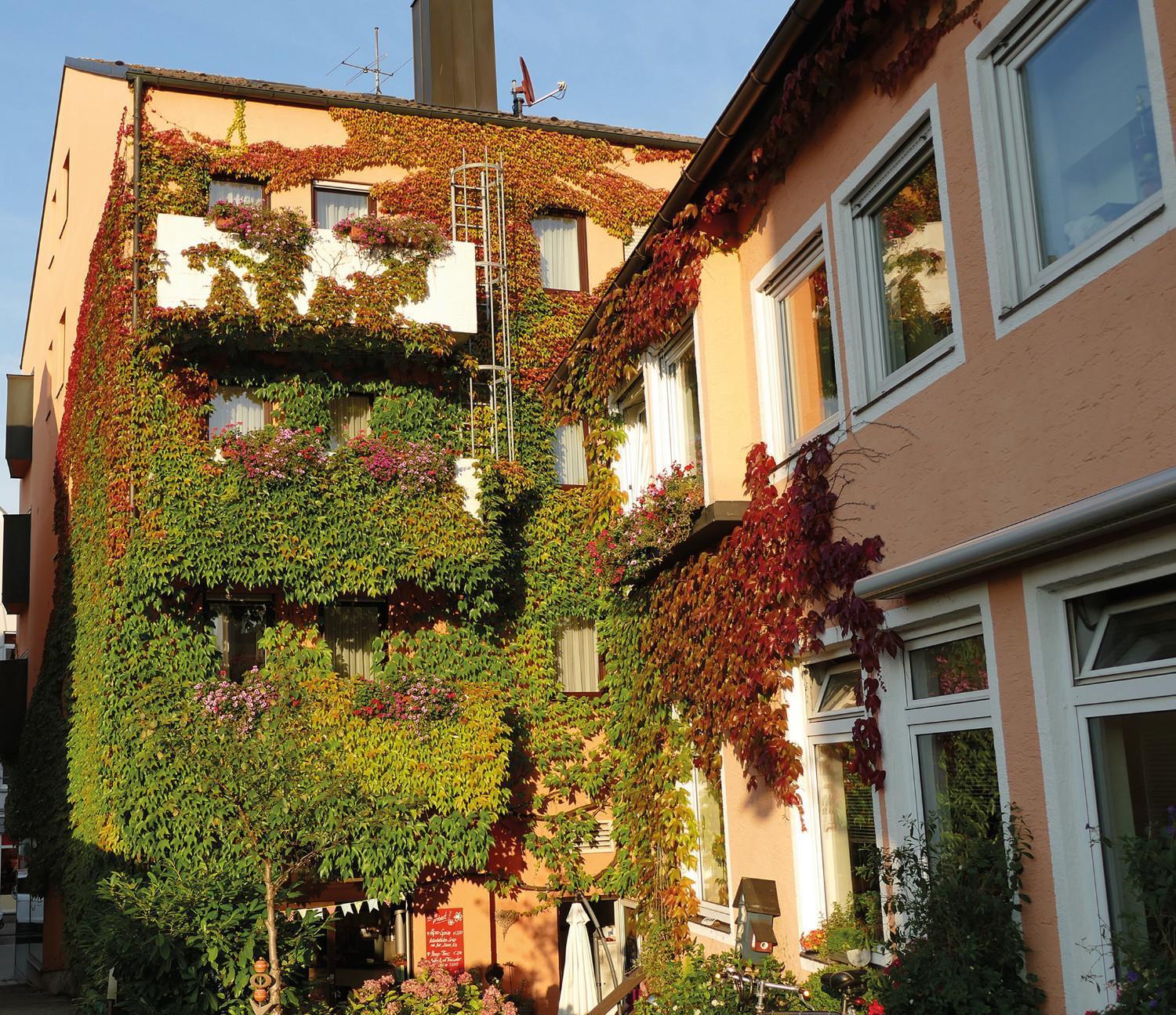 Hasi'S Hotel Grafing Exteriér fotografie
